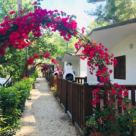 Camping Villaggio Internazionale San Menaio Buitenkant foto