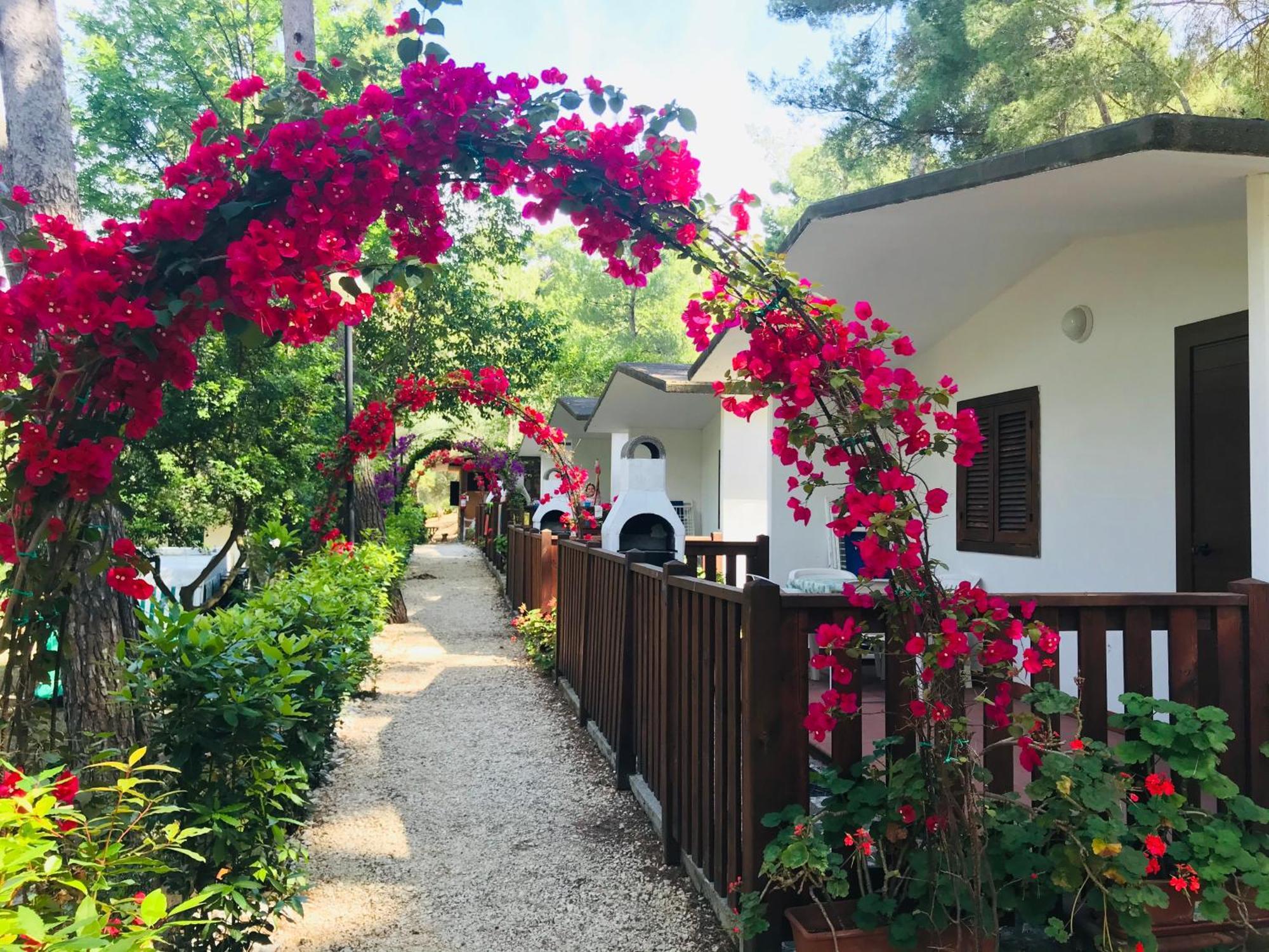 Camping Villaggio Internazionale San Menaio Buitenkant foto